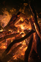 Campfire bonfire for roasting marshmallows camping in the woods 