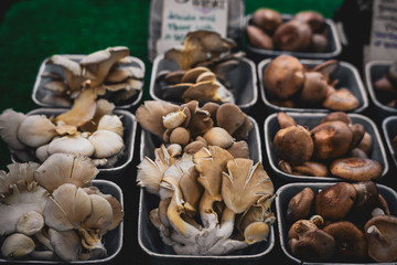 Mushroom selections on a farm stand.