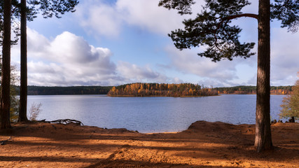 Little island between two autumn pines on lake in sunny day. Sosnovo, Leningradskaya oblast, Russia