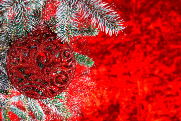 on a red background with spruce branches hanging Christmas
