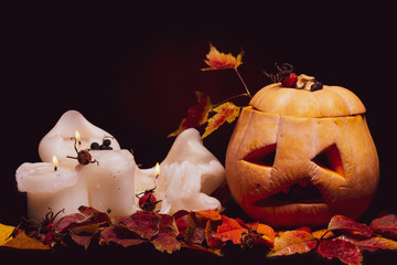 halloween pumpkin and candle over the autumn leaves