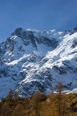 monte rosa