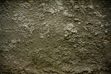 Beautiful vintage background. Abstract grunge decorative stucco wall texture. Wide rough background with copy space for text. Описание (на английском языке)