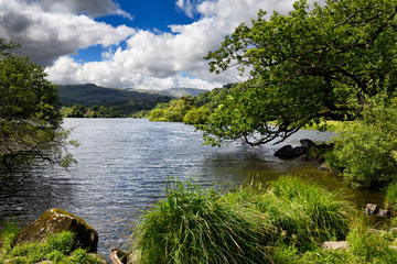 Fototapeta na wymiar Shore of Rydal Water lake on River Rothay at Rydal Ambleside Cumbria England in Lake District National Park