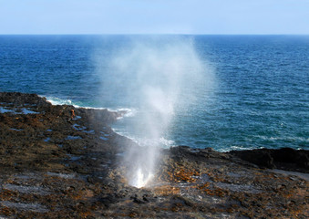 Blowhole Spouting Horn