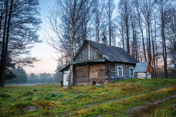 Plakat Wooden log cabin abandoned in the autumn forest at dawn.