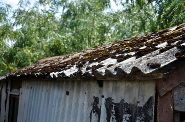 Fototapeta na wymiar Old slate roof with dirt, lichen and moss at wavy surface. wavy roof slates covers the barn. Natural aging. close-up.