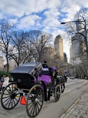Obraz premium Carriage in the park