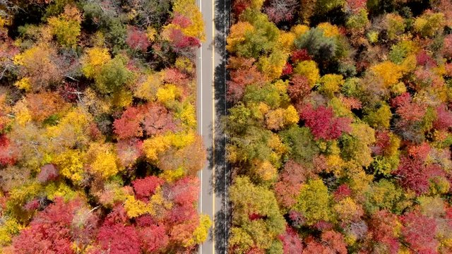 Aerial drone view of colorful fall foliage leaves over a mountain road in the New England state of New Hampshire.