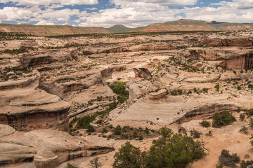 Natural Bridges National Monument