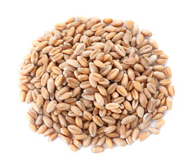 Pile of wheat grains on white background, top view. Cereal crop