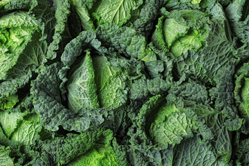 Fresh green savoy cabbages as background, top view