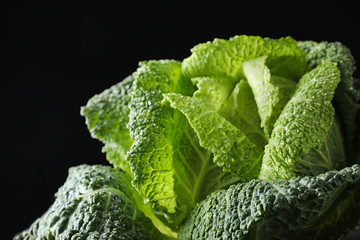 Fresh green savoy cabbage on black background, closeup