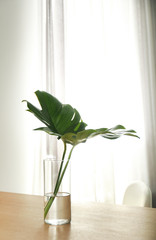 Green tropical leaves in vase on table. Modern decor for stylish interior