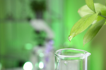 Leaf with liquid dripping into test tube at laboratory, closeup. Space for text