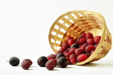 Purple plum in a wicker basket on a white background. Harvested ripe plum in a beautiful basket. Ripe plum in the basket. Basket on white background.