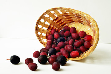 Purple plum in a wicker basket on a white background. Harvested ripe plum in a beautiful basket. Ripe plum in the basket. Basket on white background.