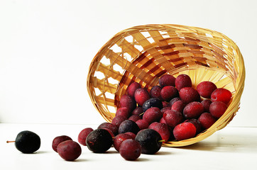 Purple plum in a wicker basket on a white background. Harvested ripe plum in a beautiful basket. Ripe plum in the basket. Basket on white background.
