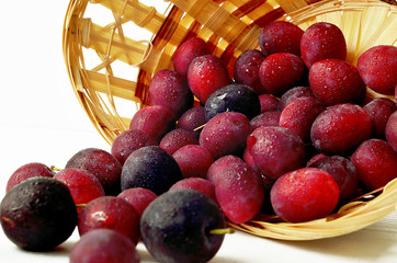 Purple plum in a wicker basket on a white background. Harvested ripe plum in a beautiful basket. Ripe plum in the basket. Basket on white background.