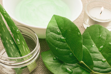 Natural aloe vera cosmetic. Handmade skin care products. Facial treatment preparation and skin refreshing cream background.  flat lay composition with natural cosmetic products.