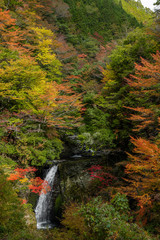 奈良県　高野山の紅葉と滝の景色