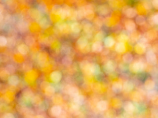 Herbstlaub ausser Fokus für Hintergrund