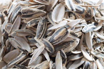 Closeup pile of husk from sunflower seeds on white background