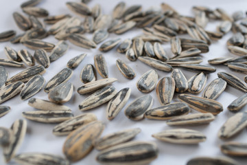 sunflower seeds isolated on white