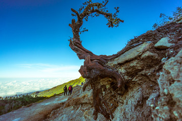 Fototapeta premium Ijen Volcano on East Java Island of Indonesia Cracked out sulfurous gases Is a very dangerous place But is an ideal tourist destination for adventurers who like excitement Like the wonders of nature
