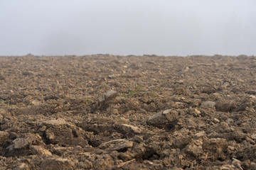 Acker im Nebel