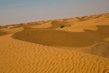 Yellow and fine sand dune in the desert in Tunisia.