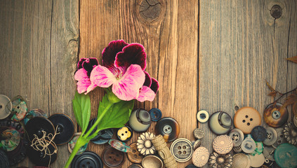 vintage buttons with a geranium flower