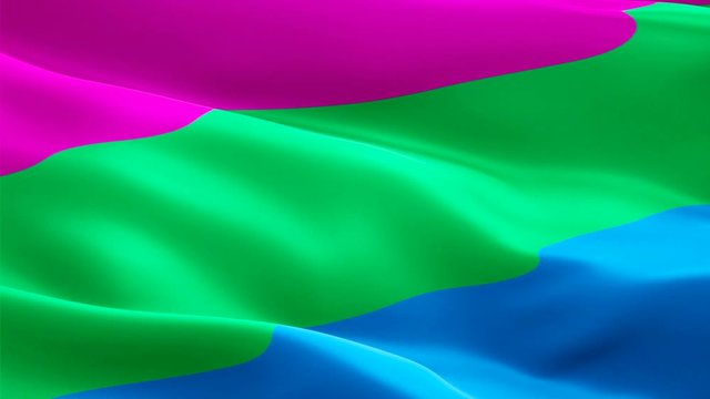 Polysexuality Pride Flag Rainbow flag video waving in wind. gender different Polysexual Flag background. Polygender person Rainbow Pride Flag Looping Closeup 1080p HD 1920X1080 footage. Rainbow Pride 