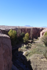 canyon on the desert