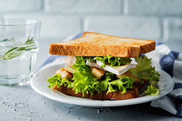 Chicken Brie cheese sandwich on the plate