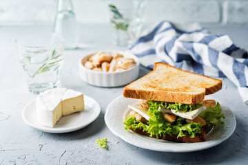 Chicken Brie cheese sandwich on the plate