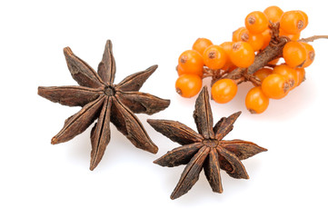 Star anise anise star and sea buckthorn on a white background.