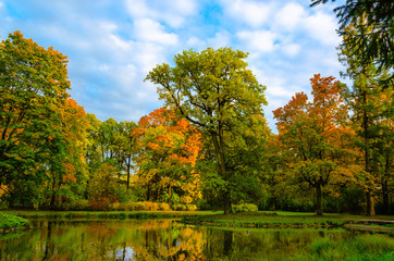 The trees painted in vibrant autumn colors on the shore of a quiet lake in the Park