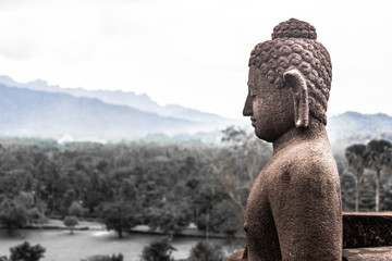 Buddha with a View