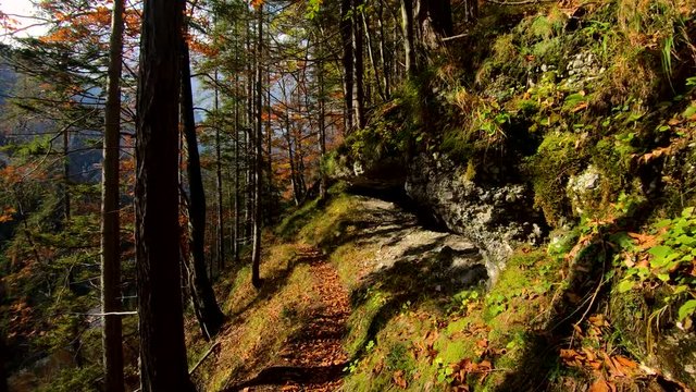 4k Forward moving walking on a lone trail on a cliff next to a forest Vrata valley