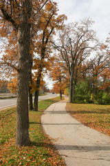 Autumn Landscape. Romantic Path.