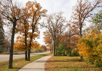 Naklejka premium Autumn Landscape. Romantic Path.