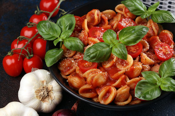 Pasta orecchiette. Plate of delicious orecchiette with tomato sauce garnished with parmesan cheese and basil on rustic background