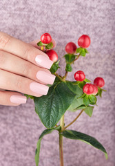 Hand with long artificial manicured nails colored with beige nail polish 