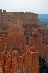 Close look to red hoodoos in Bryce Canyon