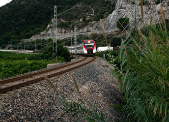  train tracks, level crossing and moving rail