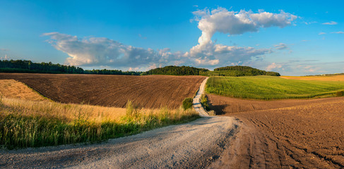 Fototapeta premium Farmer rural dirt road in wheat fields and harvest. An empty ground. Sunny day, clouds