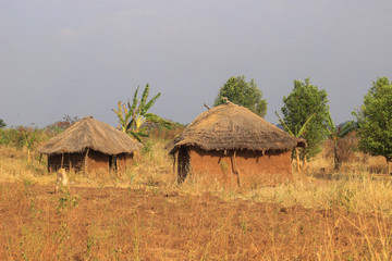Fototapeta na wymiar A traditional poor African village in Uganda made of earthenware round huts and thatched roofs.