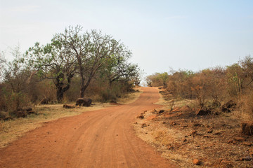 Fototapeta na wymiar A typical African road in the countryside is dry red earth and sun-scorched savannah.