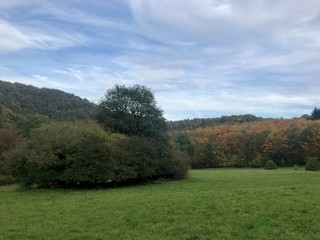 Herbst Wanderung mit der ganzen Familie in der Eifel an einem sonnigen Tag